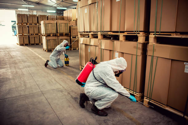 Best Flea Control Services  in Lithopolis, OH