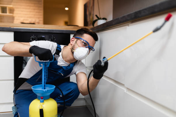 Best Rat Extermination Near Me  in Lithopolis, OH