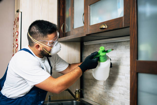 Best Pest Removal Services  in Lithopolis, OH