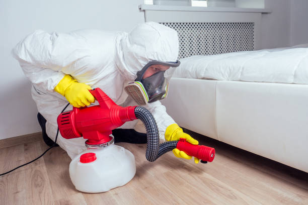 Professional Pest Control in Lithopolis, OH