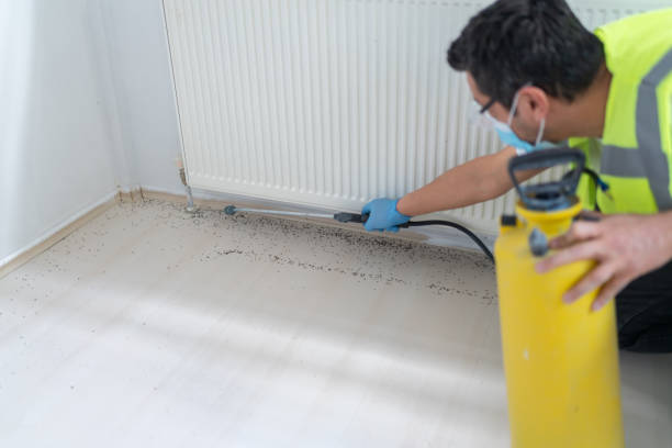 Best Exterminator Services  in Lithopolis, OH